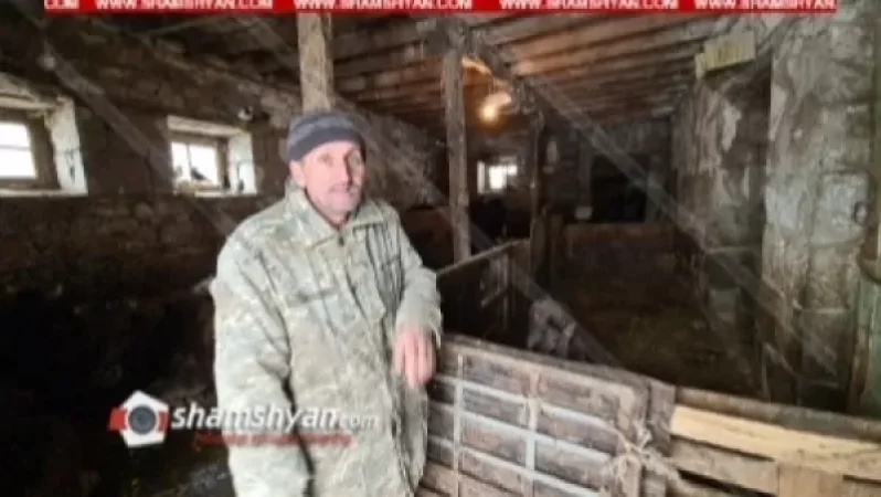 Ահազանգ. «35 գլուխ կենդանի են գողացել, ոստիկաններն ու քննիչները որերորդ անգամ է գործերը չեն բացահայտում». Shamshyan