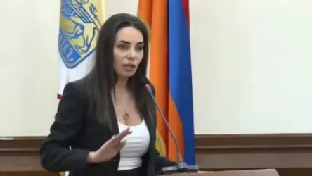 ՏԵՍԱՆՅՈՒԹ․ Պարոն Մարության, հիմա Դուք սև՞ եք, թե՞ սպիտակ. Թեհմինա Վարդանյան