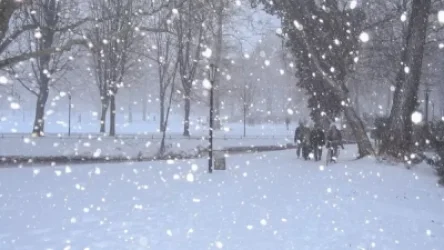 Տեղումներ կլինեն․ ինչ եղանակ է սպասվում առաջիկա օրերին