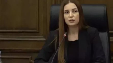 ՏԵՍԱՆՅՈՒԹ․ Այնքան պրիմիտիվ են նշանակման հիմքերն ու տրամաբանությունը․ պատգամավորը՝ Ռուբինյանի բանագնաց լինելու մասին