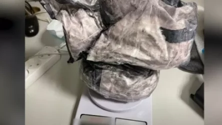 ՏԵՍԱՆՅՈՒԹ․ Բրազիլիայի քաղաքացին 600 հազար դոլար արժեքով «կոկաին» է տեղափոխել Հայաստան