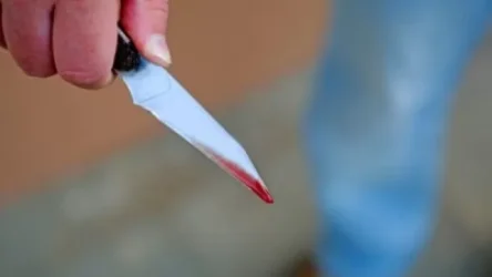 20-ամյա եղբայրը կասկածվում է 24-ամյա քրոջը դանակահարելու մեջ