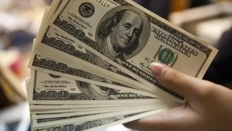 Լոռեցի 30-ամյա կինը բարեկամուհու 13.500 ԱՄՆ դոլարը կանխիկացրել և ծախսել է