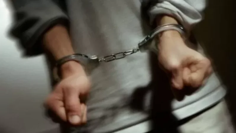 Ձերբակալվել են Երևանում իրանցու վրա ավազակային հարձակում գործած անձանցից երկուսը. Shamshyan. com