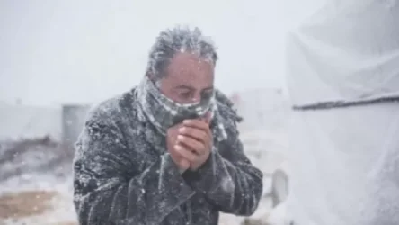 Ինչ անել ցրտահարությունից խուսափելու համար