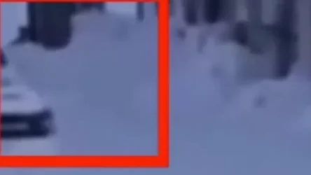 ՏԵՍԱՆՅՈՒԹ․  3-ամյա տղային ամբողջովին մերկ վիճակում, 30 աստիճան սառնամանիքի ժամանակ գտել են դրսում․ ՌԴ