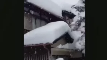 ՏԵՍԱՆՅՈՒԹ․ Էլեկտրաէներգիայի զանգվածային անջատումներ, 100 չեղարկված թռիչք․ ինչ է կատարվում Ճապոնիայում