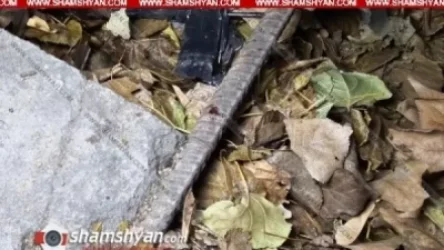 Արտակարգ դեպք՝ Դավիթաշենում. շենքի բակում վիճաբանություն է տեղի ունեցել, պարեկներն ու ոստիկանները հայտնաբերել են ինքնաշեն ատրճանակ, արնանման հետքեր