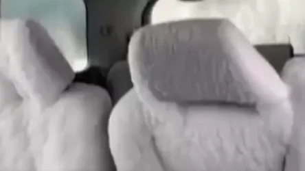 ՏԵՍԱՆՅՈՒԹ․ Ռուսաստան բերված մեքենաները սառցակալած են ոչ միայն դրսից, այլև ներսից