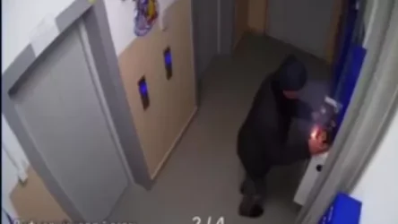 ՏԵՍԱՆՅՈՒԹ․ Ամանորի գիշերը հրավառություն՝ բազմաբնակարան շենքերից մեկի շքամուտքում