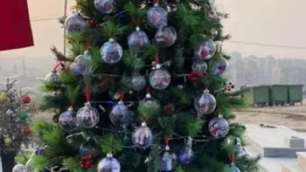 ՏԵՍԱՆՅՈՒԹ. Եռաբլուրում զոհված զինծառայողների հարազատները տղաների նկարներով եղևնի են զարդարել