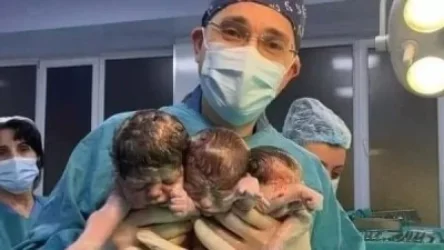 Ամանորին եռյակ է լույս աշխարհ եկել Երևանում