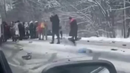 ՏԵՍԱՆՅՈՒԹ․ Ողբերգական վթար Բելառուսում․ ուղևորներով լի ավտոբուսը շրջվել է․ զոհերի թվում երեխաներ են