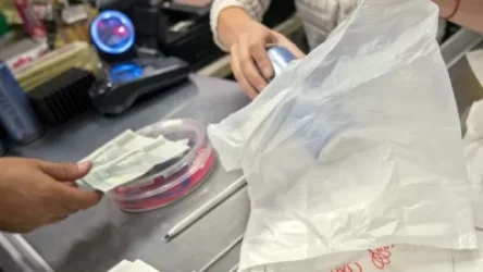 ՏԵՍԱՆՅՈՒԹ․ Պոլիէթիլենային տոպրակները մեր կյանքից պետք ա դուրս շպրտենք․ Փաշինյան