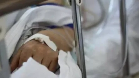 ՏԵՍԱՆՅՈՒԹ․ Գրիպի շրջանառության աճ ենք գրանցում․ Ավանեսյանը՝ H1N3-ի մասին