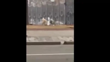 18+. ՏԵՍԱՆՅՈՒԹ.  Կադրեր` Ալմաթիի ուժայինների վրա արձակած կրակահերթից. վիրավորներ և զոհեր կան