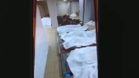 18+. ՏԵՍԱՆՅՈՒԹ. Ղազախստանի ուժայինների կողմից սպանված ցուցարարները