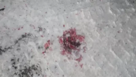 ՏԵՍԱՆՅՈՒԹ․ Արթիկում մեքենայի ճանապարհը չզիջելու պատճառով վարորդներից մեկը դանակահարել էր մյուսին