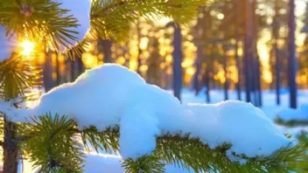 Առաջիկա 4 օրվա եղանակի կանխատեսում