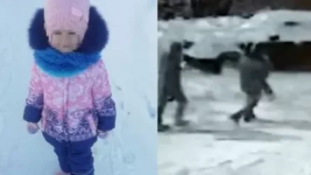 ՏԵՍԱՆՅՈՒԹ. Մեկ շաբաթ շարունակ փորձել են առևանգել տղա երեխայի. ՌԴ-ում 5-ամյա աղջնակին սպանողների ցուցմունքը