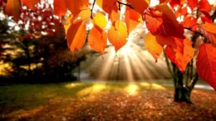 Առաջիկա օրերի եղանակը Հայաստանում