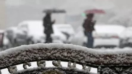 Սպասվում են տեղումներ