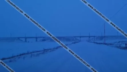 Վարորդները «քաղցր» խոսքեր են ուղղում ճանշինականներին. Shamshyan