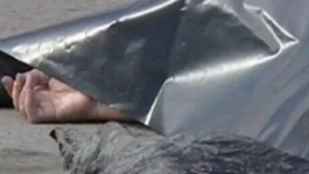 Կիևյան կամրջի տակ հայտնաբերվել է դի