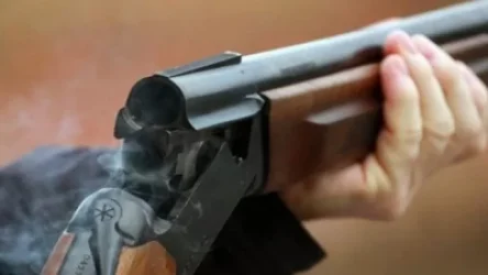 Վրեժխնդիր է եղել․ Գորիսում 35-ամյա տղամարդը կրակել էր «BMW»-ի վրա