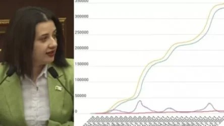 «Մեկ օրում կանաչ գոտուց հայտնվել ենք նարնջագույն գոտում»․ Էմմա Պալյան