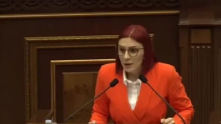 ՏԵՍԱՆՅՈՒԹ․ Ձեր բիզնեսմեն պատգամավորները բիզնես պրոյեկտներ են կազմել հայ-թուրքկան սահմանի բացումից հետո. Խամոյան