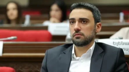 Վարդևանյանը համաներման կոչ է անում