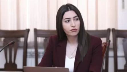 ՆԳ փոխնախարարը՝ պետաշխատողների մեքենաների մգացված ապակիների մասին