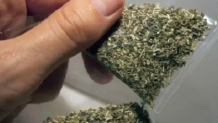 Թմրամիջոցների ապօրինի շրջանառության փորձ դատապարտյալի կողմից