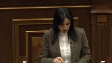 ՏԵՍԱՆՅՈՒԹ․ Արեգնազ Մանուկյանին ՀՌԱՀ անդամի թեկնածուները «կասկածելի» թվացին