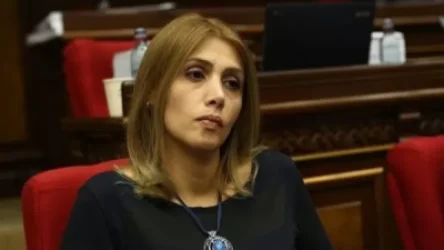 «Հնարավոր նոր ալիքը զսպելու համար մենք քիչ ժամանակ ունենք»․ Էլինար Վարդանյան