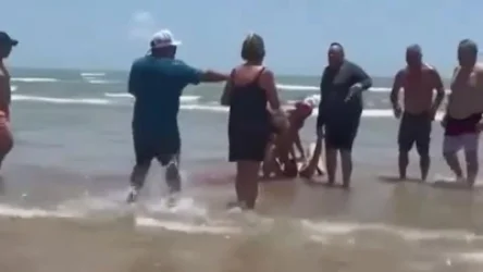 ՏԵՍԱՆՅՈՒԹ. Շնաձուկը հարձակվել է մարդկանց վրա. կան տուժածներ. ԱՄՆ