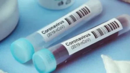 Կորոնավիրուսային իրավիճակը՝ Վրաստանում