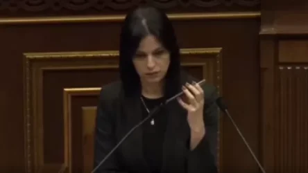 ՏԵՍԱՆՅՈՒԹ. Պատգամավորը անդրադարձավ ՊՆ նախարարի հարսանիքին և միացրեց Պապիկյանի նախկին ելույթներից մեկի ձայնագրությունը