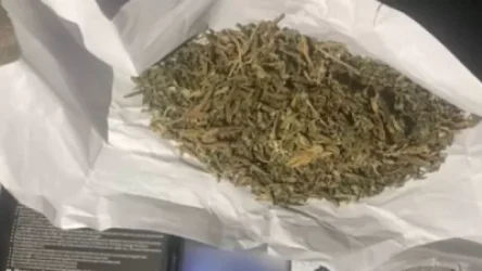 Ոստիկանները Քասախի բնակչի ավտոմեքենայում մարիխուանա են հայտնաբերել