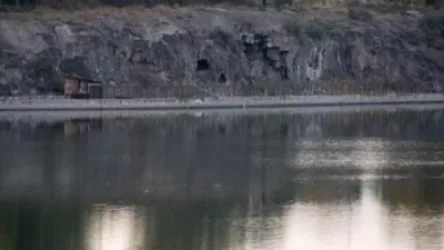 Երևանյան լճում դի է հայտնաբերվել