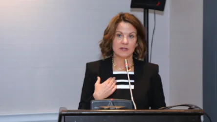 ԱՄՆ դեսպանը Վրաստանի իշխանություններին բացատրել է համատեղ զորավարժությունները չեղարկելու որոշումը