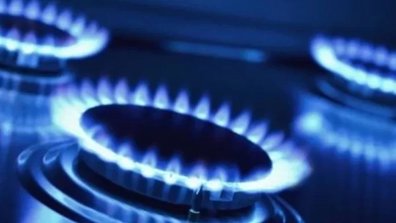 Մհեր Գրիգորյանը՝ գազի գնի բարձրացման մասին