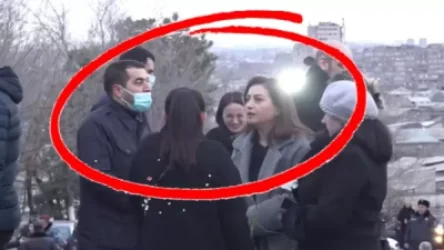 ՏԵՍԱՆՅՈՒԹ. «Եռաբլուրում խնդացող Լուլուն». համացանցը քննարկում է