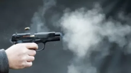 Վիճաբանություն Կոտայքի մարզում գործող «Ծիրանի» ռեստորանային համալիրում. հնչել են կրակոցներ