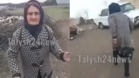 ՏԵՍԱՆՅՈՒԹ. Ադրբեջանցի կինը փորձել է հատել ՀՀ սահմանը՝ ադերբեջանական անարդարության պատճառով