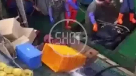 ՏԵՍԱՆՅՈՒԹ․ ՌԴ-ում չեն կարողանում փրկել խորտակվող նավում գտնվող գլխավոր մեխանիկին