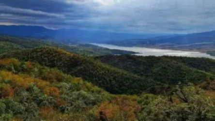«Պատերազմի հետևանքով կորցրել ենք անտառների գրեթե 50 տոկոսը». Արցախի ՏԿԵ նախարար