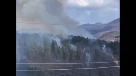 Դիլիջանի անտառում հրդեհ է բռնկվել. հրշեջները մոտ երեք ժամ մարել են կրակը. ԱԻՆ