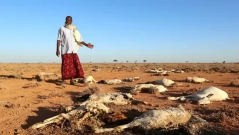 271,000 մարդ լքել է տունը․ սաստիկ երաշտ Սոմալիում